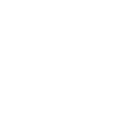 minda-icon1