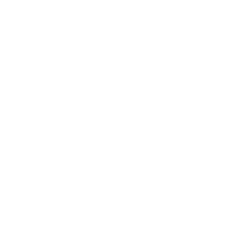 webinar-icon3